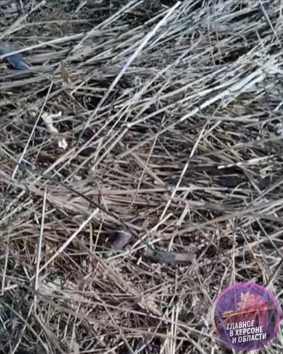 ������� ��� ��������� ������� ������� ������ �������� �� ������� ���� � �� ����� �������� �� ����� �������������� ��������� � ��������