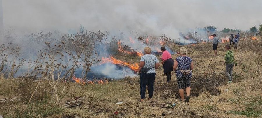 �� �������� ����� ���� ������������� 29 "��������" � �������������� ������