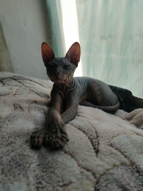 ������!. ����� ���������� ���� ��������, ���������� ����� �� ��� ��� �� ��� ������, ������� ���� � ���������� �����-������ ��� �� ���������� �������, ������ ���� ����������� �������� � ������������� ������