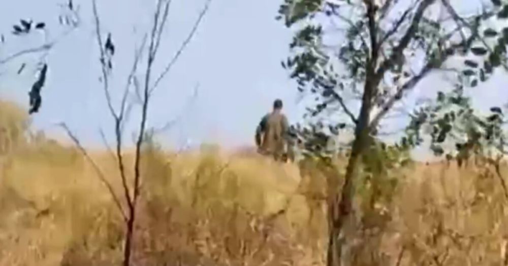 ������� ��� ���������� ���������� ������� ������������� ����