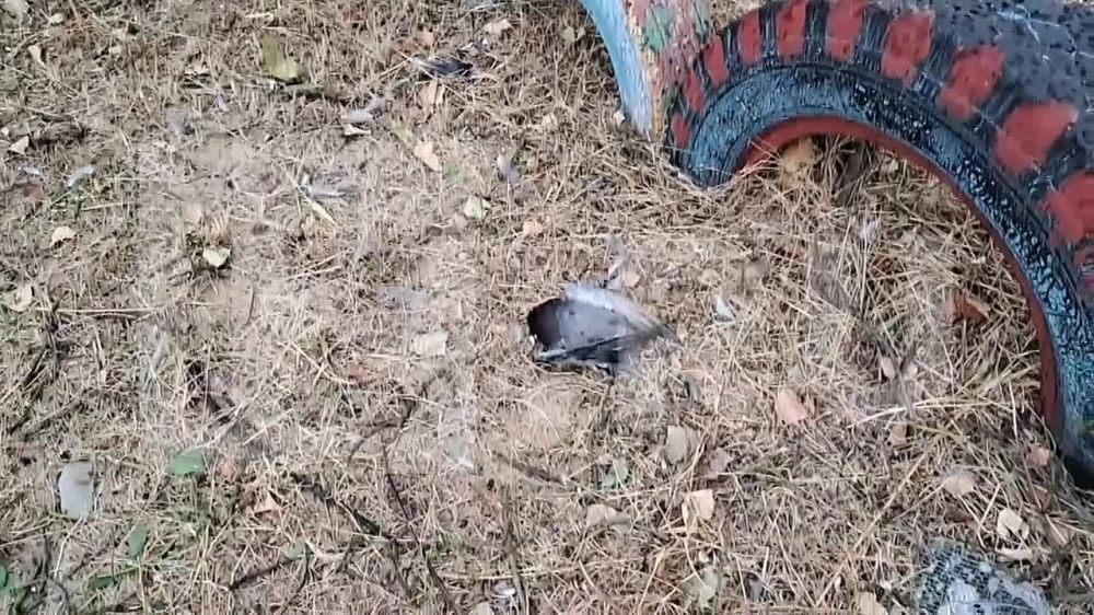 �� ������ � ����������� ����������� ����� ���������� �������� � ����������� ��������� ���������� �� ������ �������� ����� �������