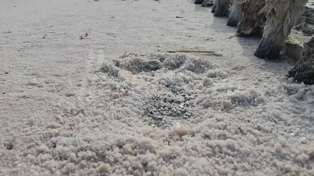 � ��������� �������� ���-������ � ������� ��������� � ��������� �� ���� ������ ���������, ����� ����������� ���������� ���� ����������