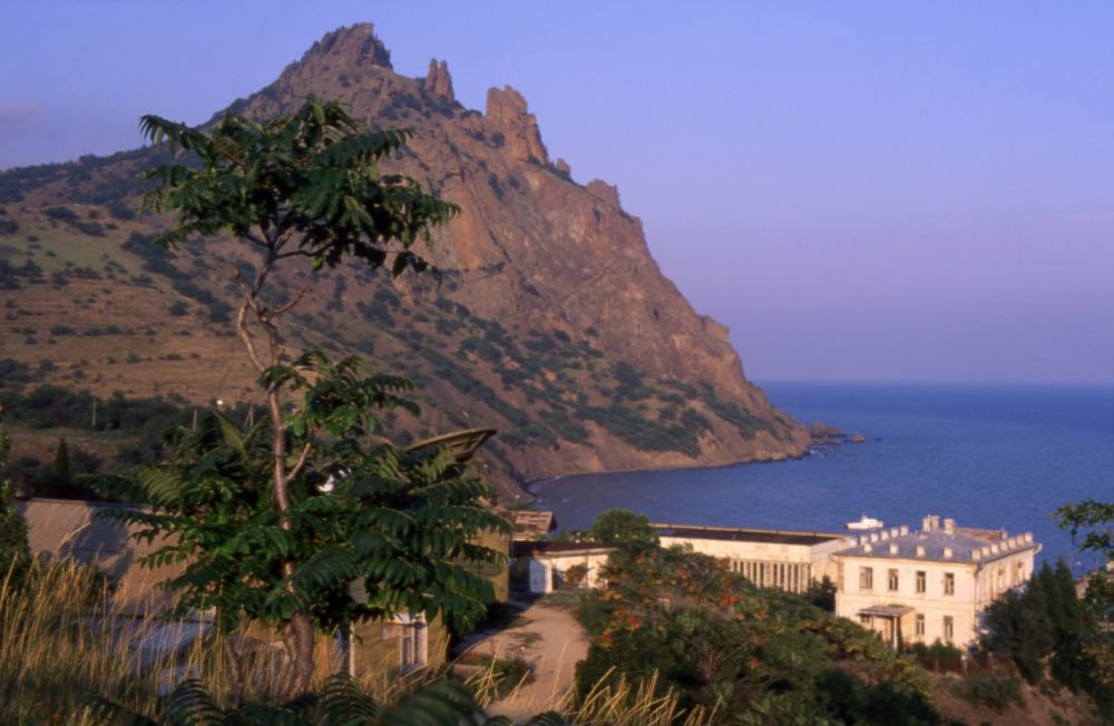 ���� ����� ��������� ������ �������� � ���� � �������