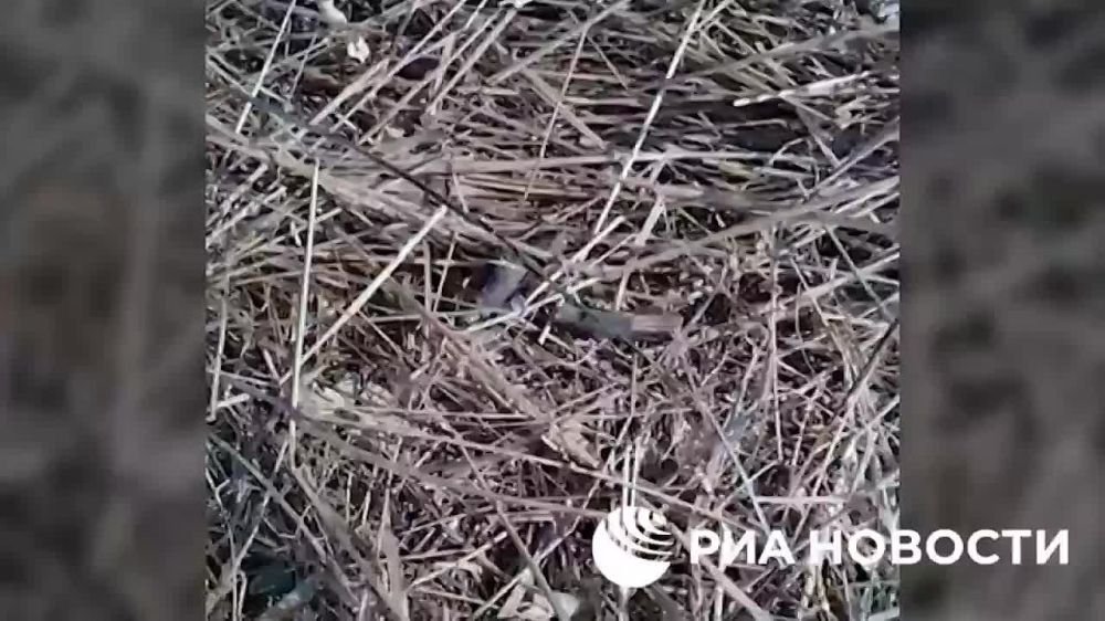 ����� �������, ���������: ����������� ����� ������� ���������� ������ �� ������ ����