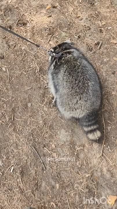 ���� �� �������: ������, ������� ���� � �������� ���!