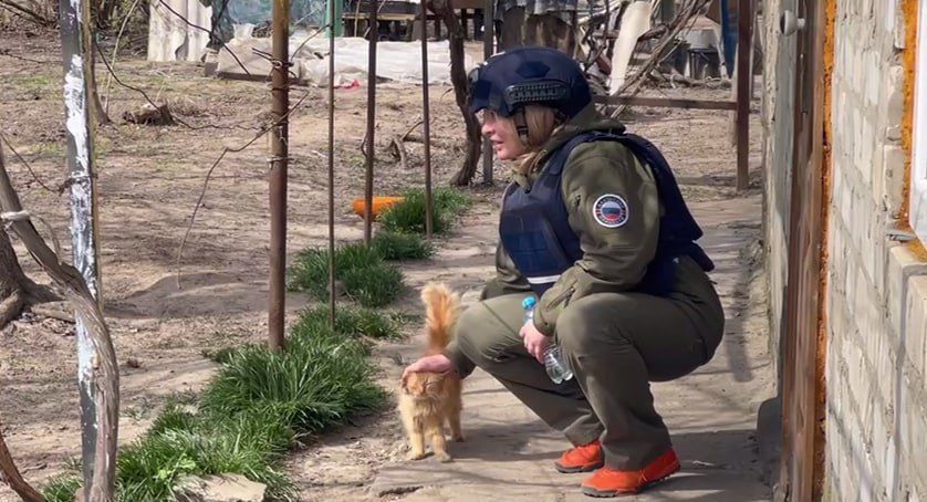 ������� ��� ������, ��� ��������� ������������, �� ����� ����������� � �����