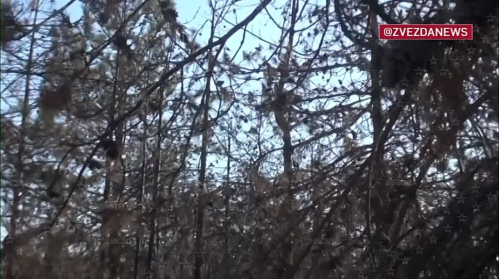 ���������� ������� ������� ����� �������������� ��������� �� ����������