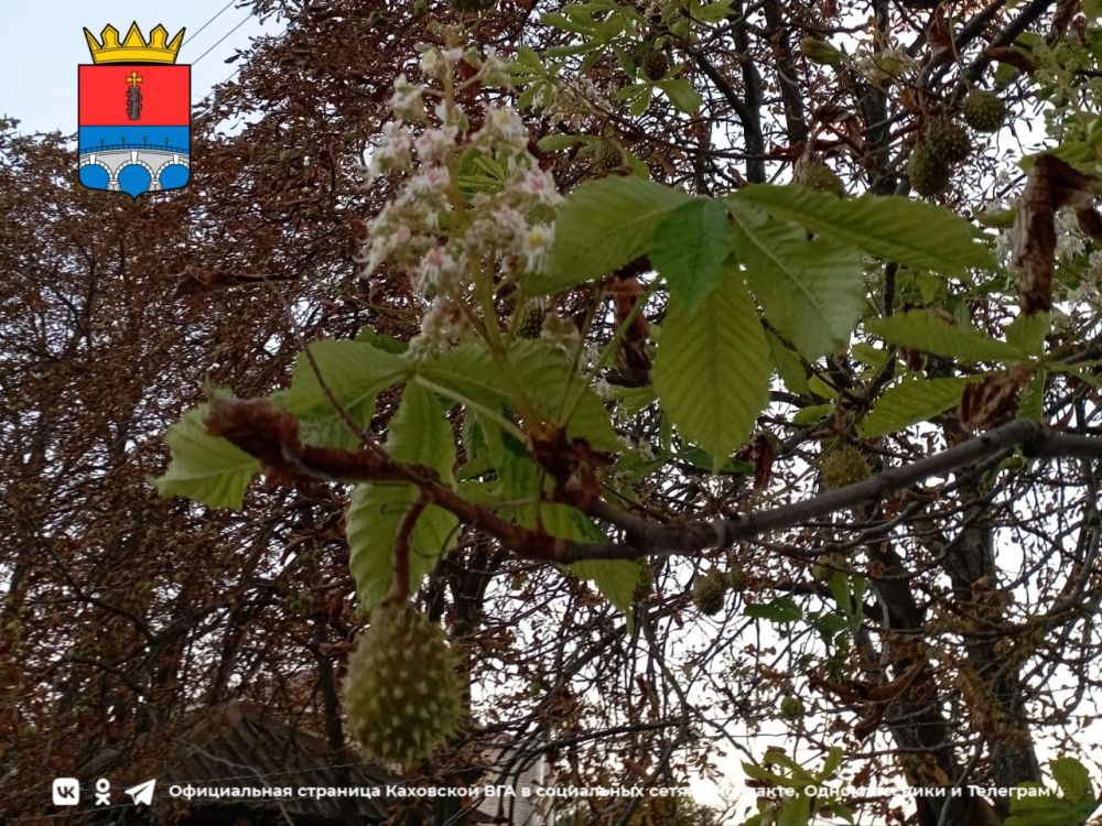 ������ ����, �������!. @VGA_Kakhovka