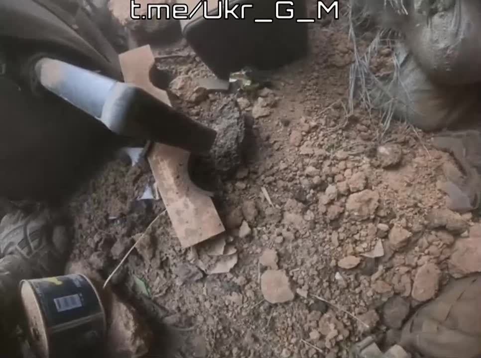 ����� �� ���� ����������: ������� �� 47 ���� ��� ��� ��������� ���-1 "��������" �� ����������� �����������