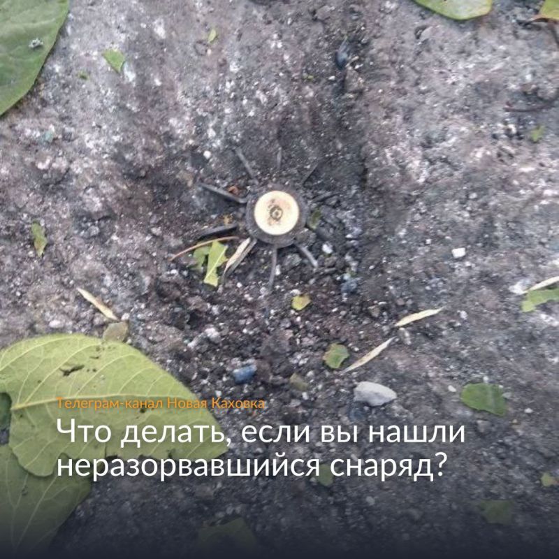 ��� ������, ���� �� ���������� ��������������� ������ ��� ����?