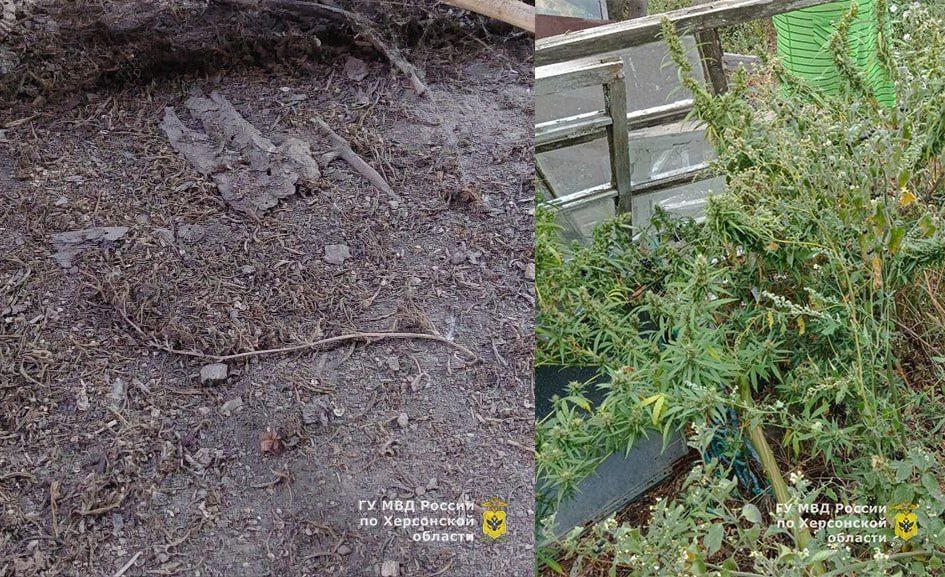 � ������ ������ ������� ��������������� ������ ������� � ���������