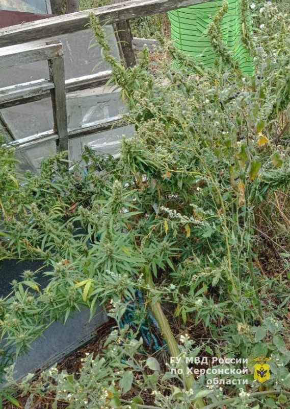 � ������������ � ������ ����������������� ������ ���������� ������� ������� ������� � ���������