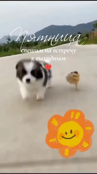 � ������ �����, �����������!