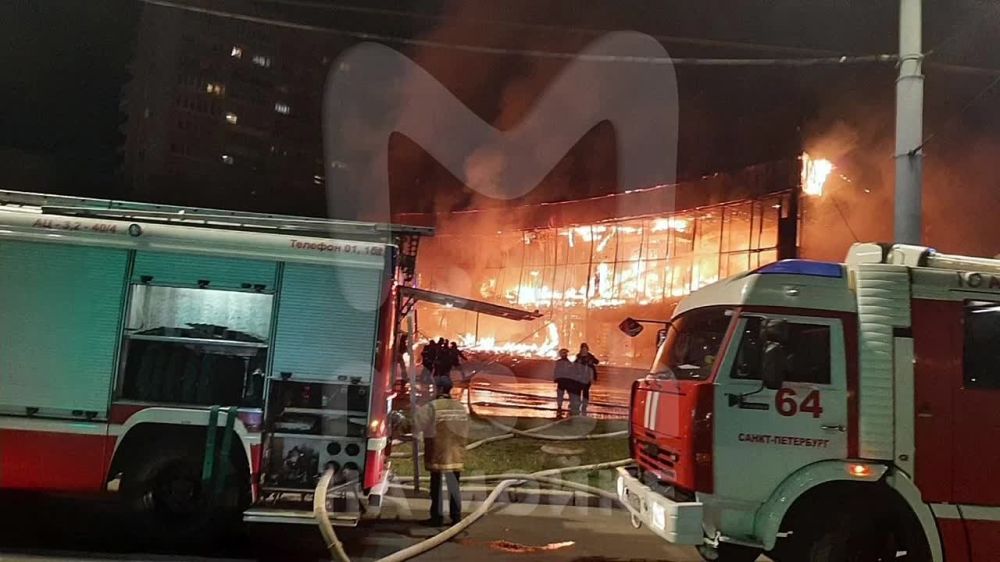 � �����-���������� ����� ������ ������� �������� BBQ beer