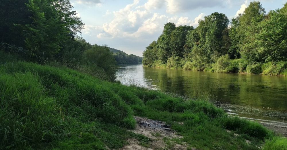 ������ ���������� �������� ������� ������� �������