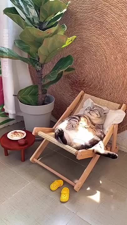 ������, ���� ������� �������������-�������������