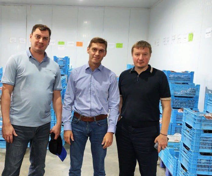 ���������� �������. ��������� �������������� - ��� �������� ��������� ������� �������������� � �������� ���������� �������...