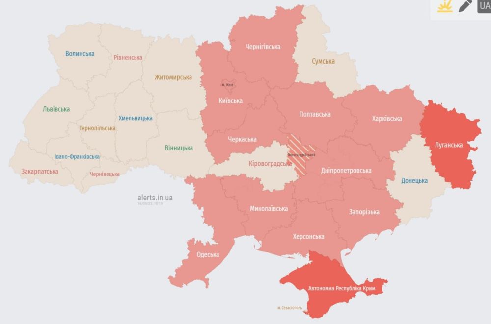 ����� ������ �����������.