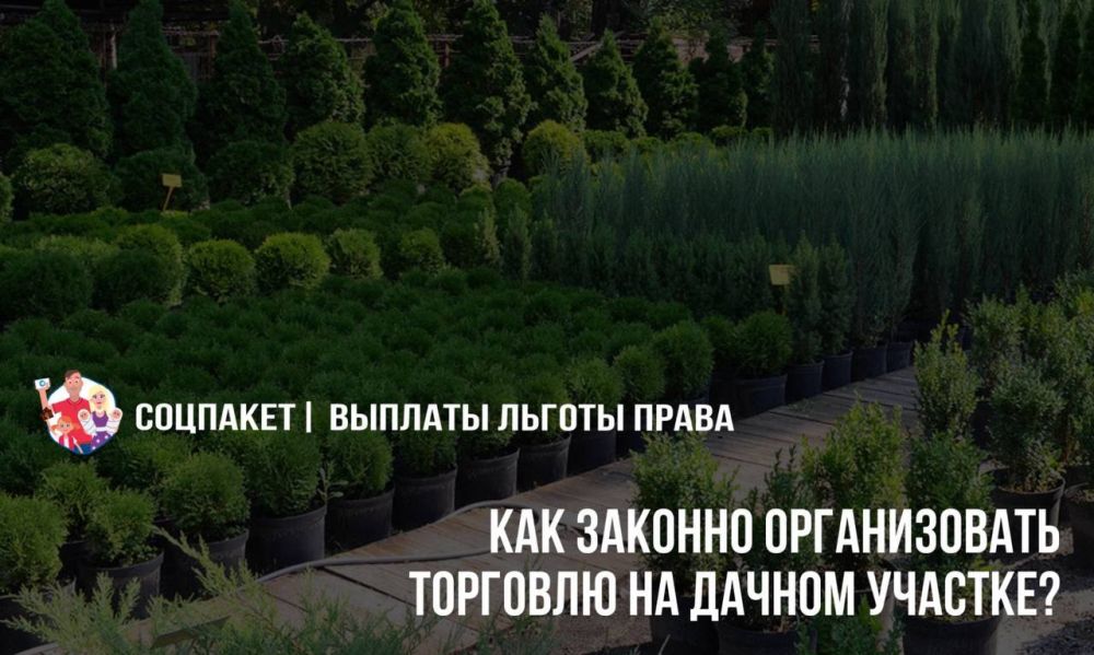 ��� ������� ������������ �������� �� ������ �������?