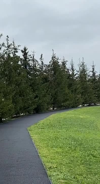 ������� �� ���� ������ � ��� ������ ����������� ����� ����� �������� � ��������� ���, ��� �� ����� �������� ������ �� ��� � ���������, �������� �� ������ �������