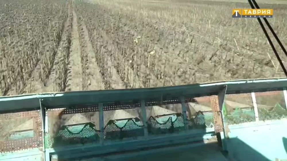 �������� "������" � ����� ������ ���������� � ���������� ������