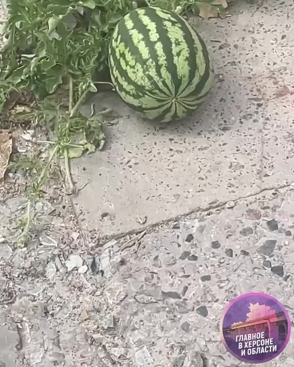 ����� ���������� ����� � ������� ����� �� �������� ������ ����� �����