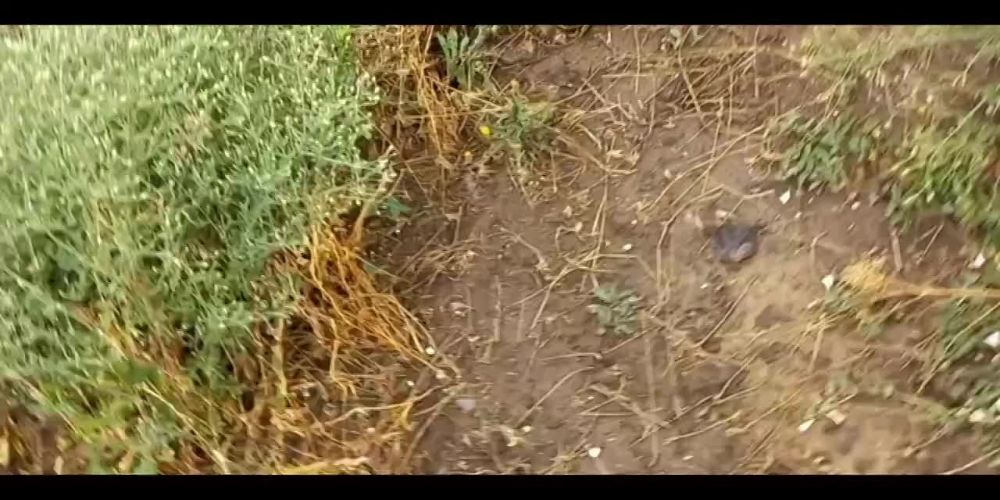 ���� 2022, ���������� �����������