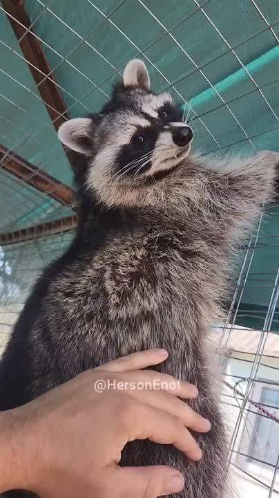 ���� �� �������: ������� ���� � �������� ���, ������!