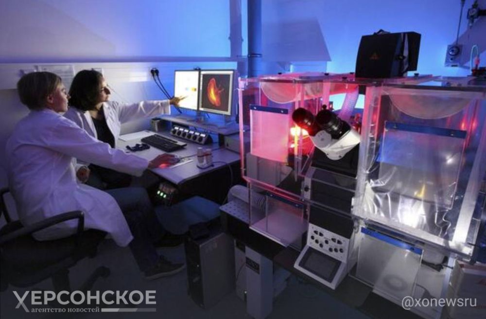 ���������� ������ ���������� ���, ���������� �� ���������� �� ��������