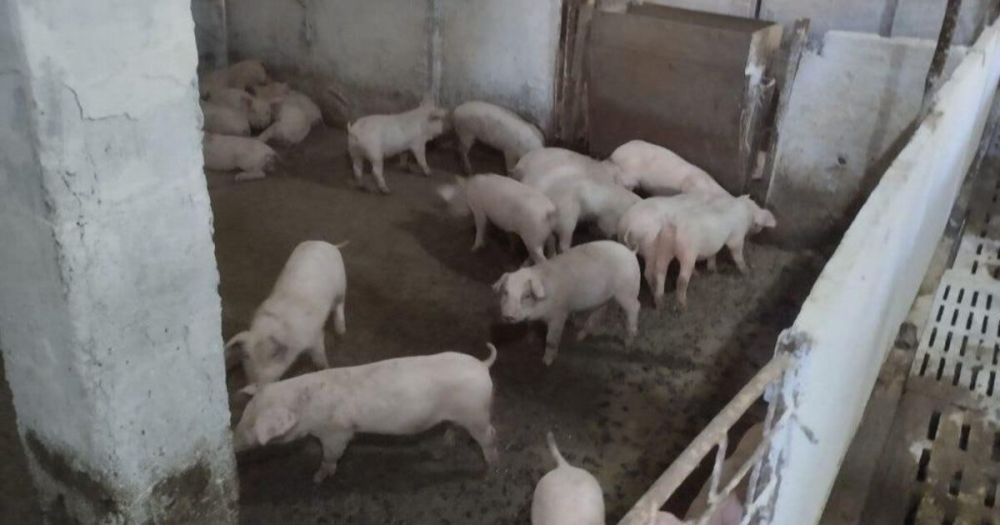 ��������� ����� ��������� 29 ������������ � ���������� �������