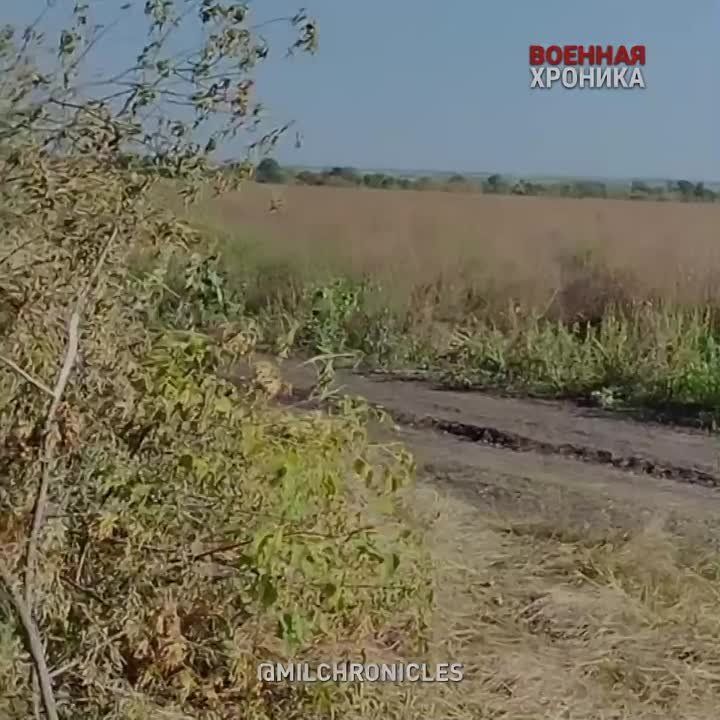 ���������� �� ������ �� 18 ��������