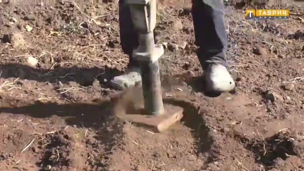 � ������� ���������� ����������� ������ �������� ������������� ����������-����������� ������