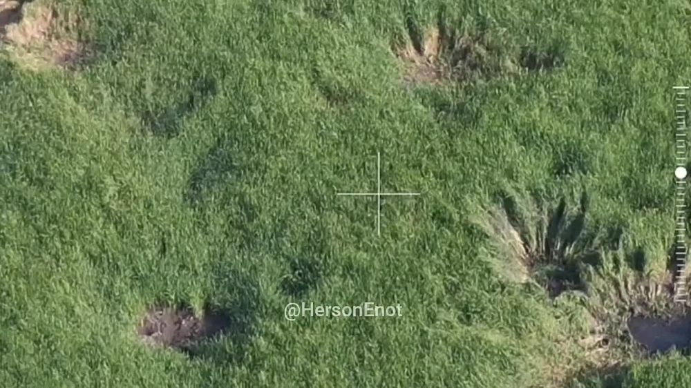 ���� �� �������: ������ � ����������� �������������