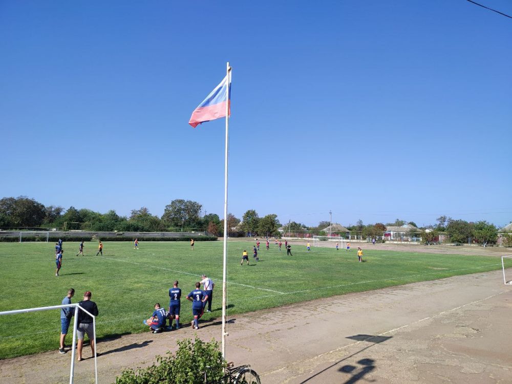 ��������� 229 ���. ���������� ������ �� ��������� � ������ ��������