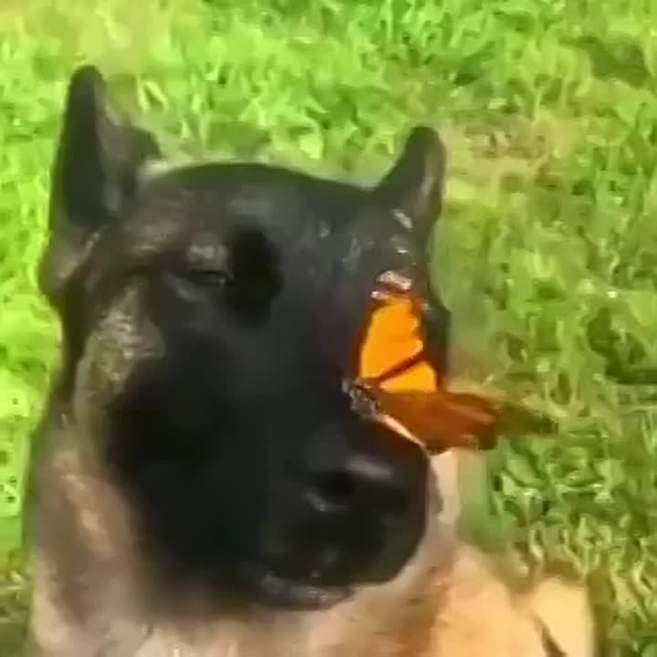 ��������� ��������� ������ ������ � ��������� ����� � ������� ����������