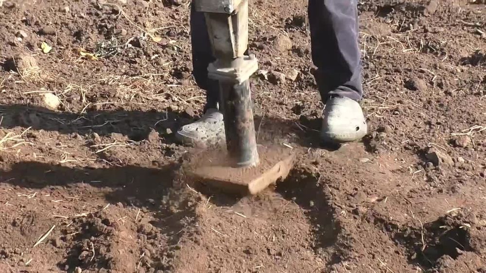 ����� �����������-���������� ����� � ���������� �� ���������� ���������� � ������������ ������ ������������