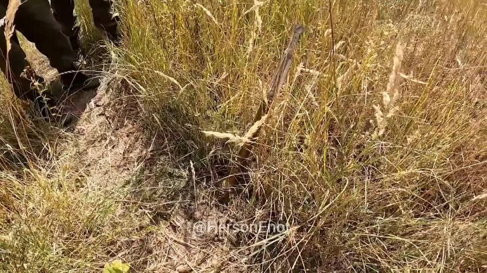 ���� �� �������: ��������� ������ �������, ������� ����� ����������� ���� ������� �������