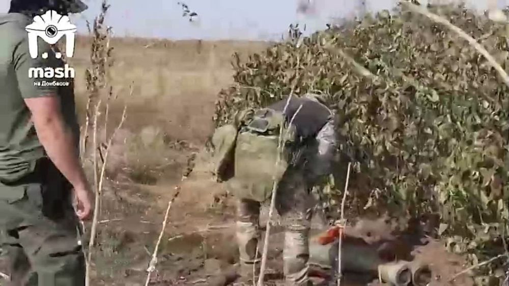 ������� ����� ������� ����� � �������� � �������� � ���������� �������