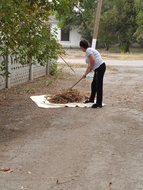 ���������� �������� ���� ������� ���������