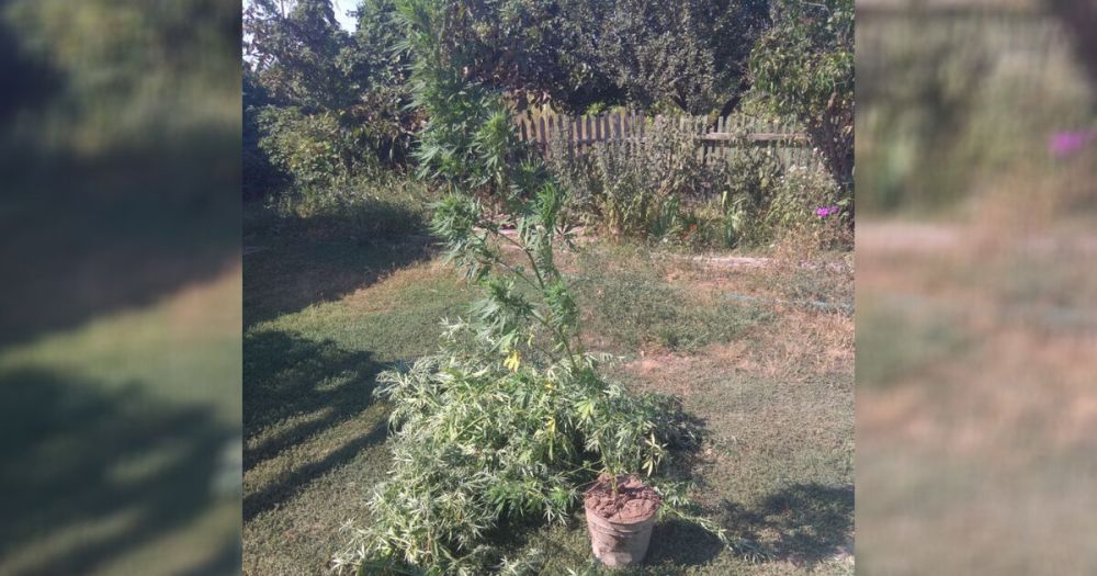 ������� ������� ������������� ������� � ��������������� ������