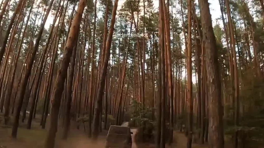 ���� �� �������: � ���� ���-���� �������� �������, ��� � ������