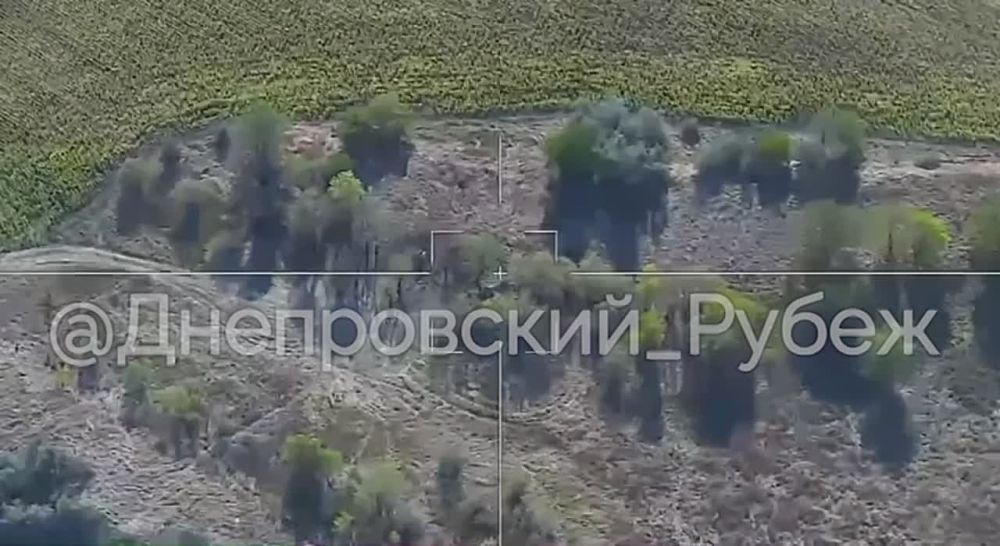 ����������� ����� ������, ���������� �����������