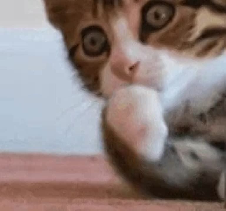 В Республике теперь можно взять ипотеку под 2%