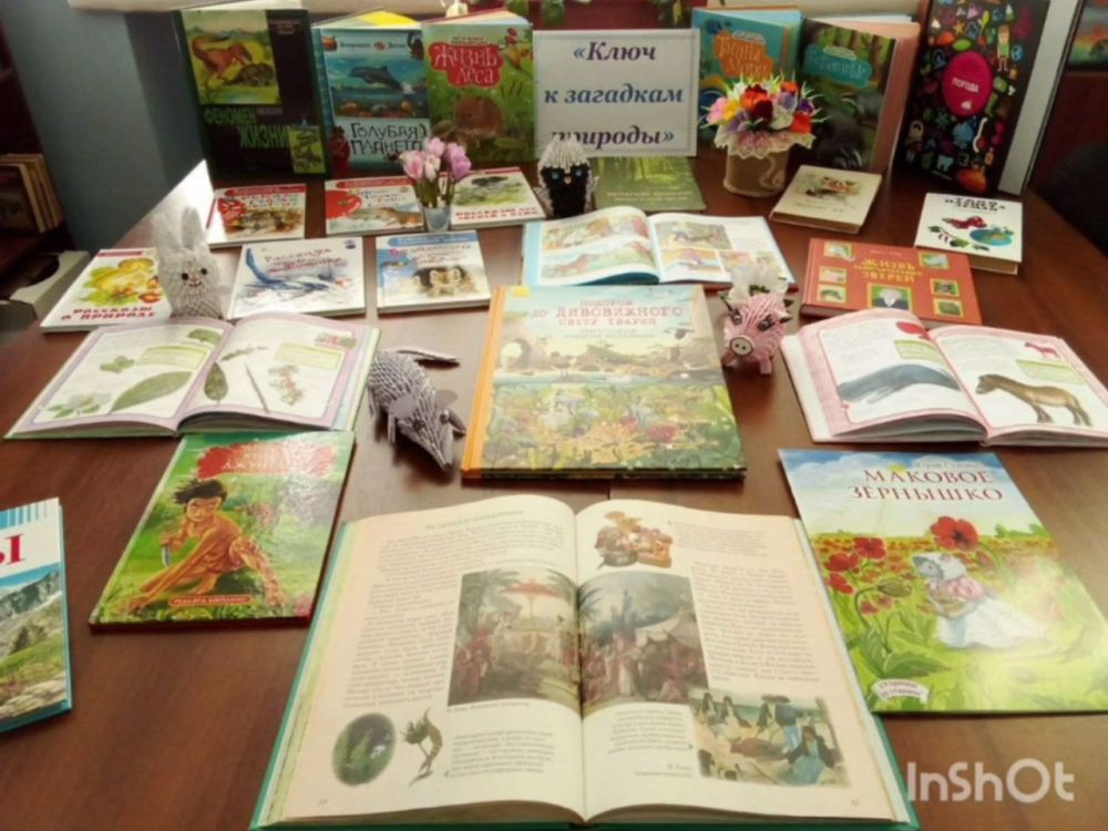 � ��������� ���������� ���� ���������� ������ ������������� ������� �������������� ��� "����� � ��������� �������" � �������� ������������� �������� ���� "��������"