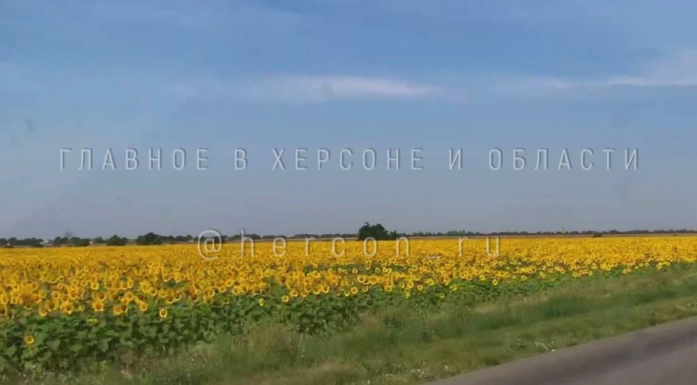 � ����� �������� ���������� ������ ������������� � ������� ������� 17 ����� ���� ��������� ��������