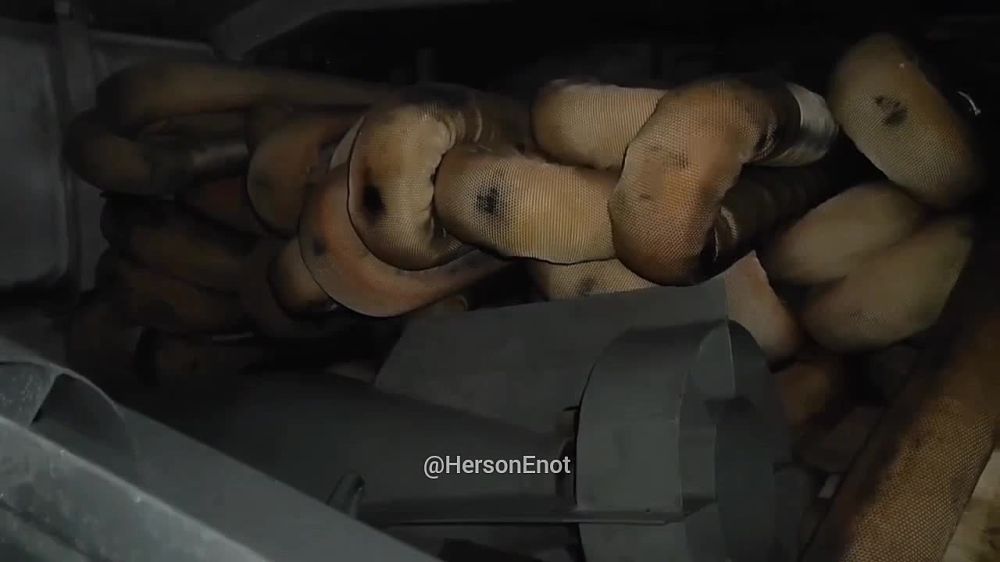 ���� �� �������: � ��� ���� ��� � ��������� ����� ��������, ���� ������������ �������� � ����������� ���������� ����������� ��������