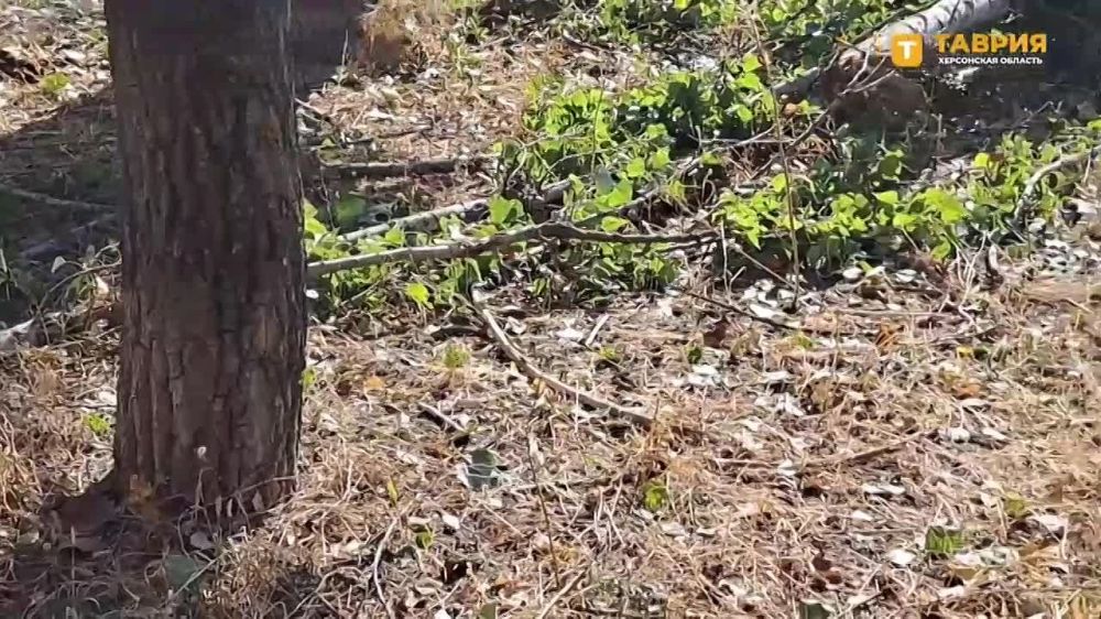 ����� � ����� �������� ����� �������