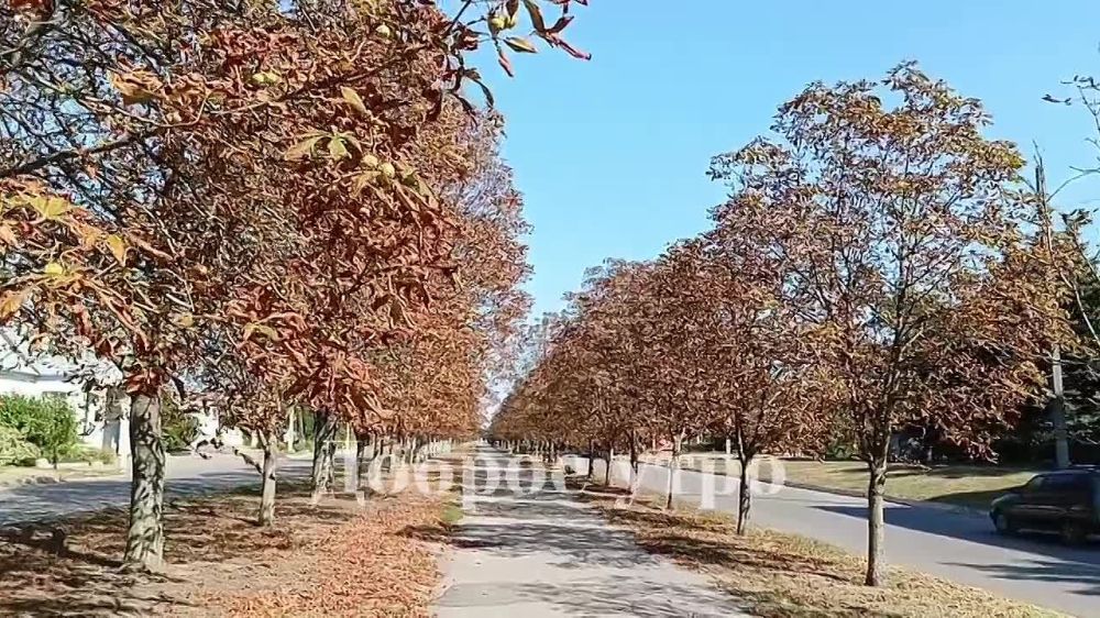 ������ ����, �������!. @VGA_Kakhovka