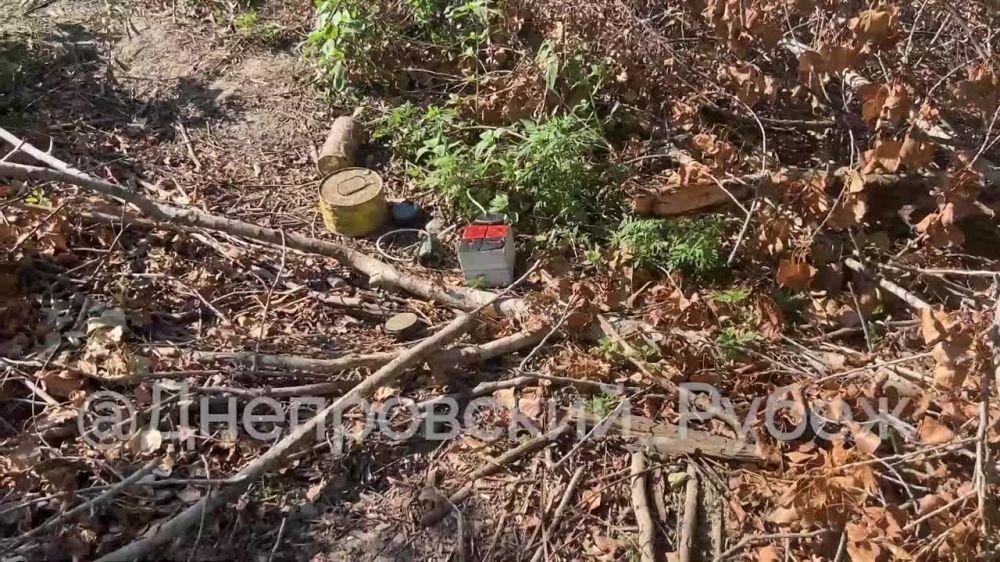 "��������� ����� ����� ���� �� ������� ������"