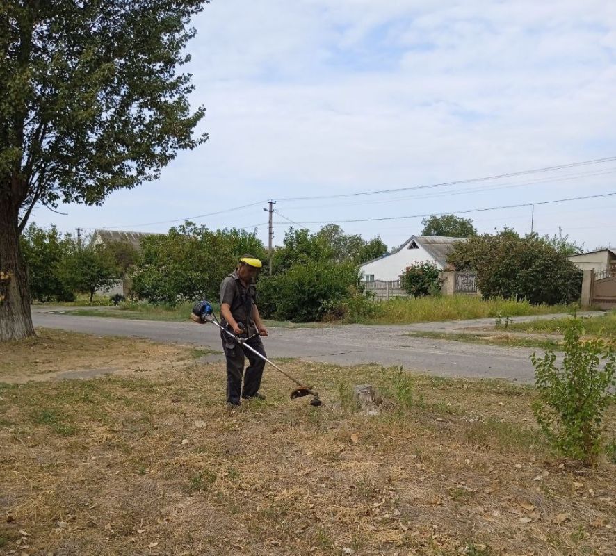 �������, �������� ����, �����������!